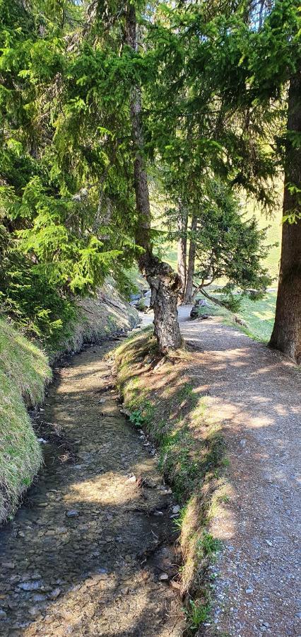 Un moment de détente inoubliable Saillon-les-Bain Extérieur photo