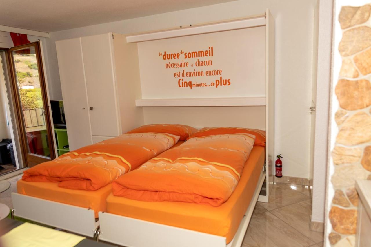 Un moment de détente inoubliable Saillon-les-Bain Extérieur photo